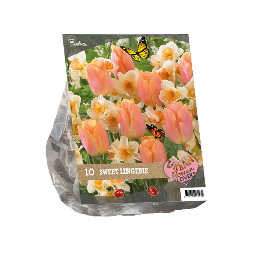 Baltus Urban Flowers - Sweet lingery per 10