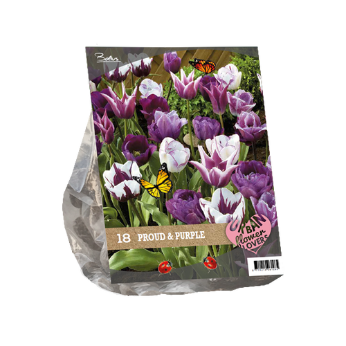 Baltus Urban Flowers - Proud & Purple per 18