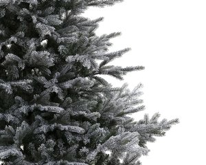 Everlands Snowy Grandis Fir kunstkerstboom groen - H 180 x D 132 cm - afbeelding 2