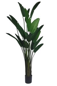 Kunstplant Strelitzia H 245 cm