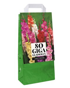 TAS / BAG 80 GLADIOLUS LARGE FLOWERING MIX