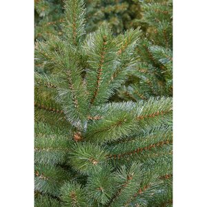 Triumph Tree Forest Frosted kunstkerstboom slim groen - H 120x D 69 cm - afbeelding 3