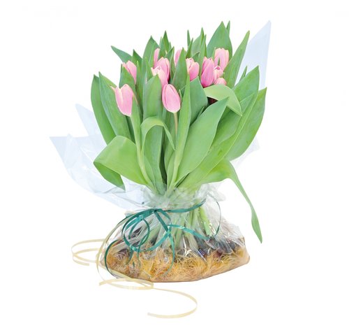 Tulpenschoof diverse kleuren - afbeelding 5