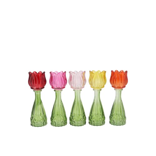 Vaas Bicolore multi-color tulip - H 18 x D 7 cm