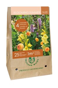 ZAK / BAG 25 BULBS - BLOOMING SUMMER SUZE